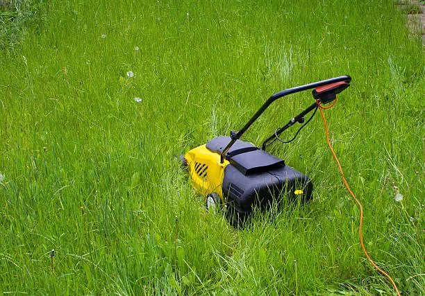 Can you mow wet grass Tyler, TX