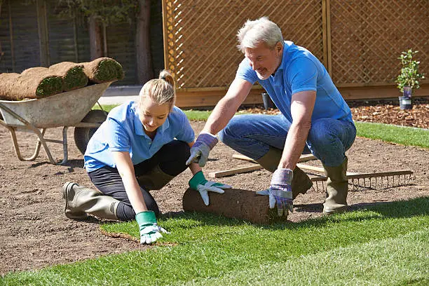 Dependable Sod Installation in Tyler, TX