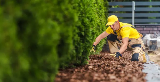 How Long Does Mulch Last Tyler, TX