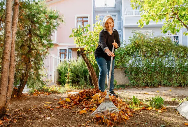 How To Clean A Backyard in Tyler, TX