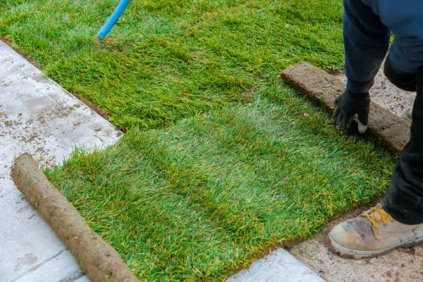 How long after installing sod can you walk on it Tyler, TX