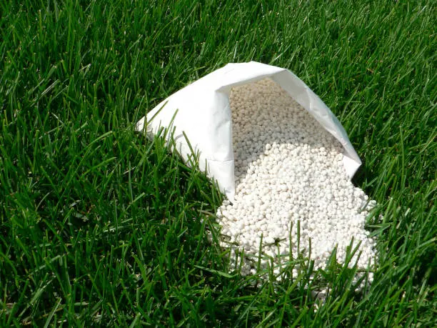 How often should you fertilize your lawn Tyler, TX