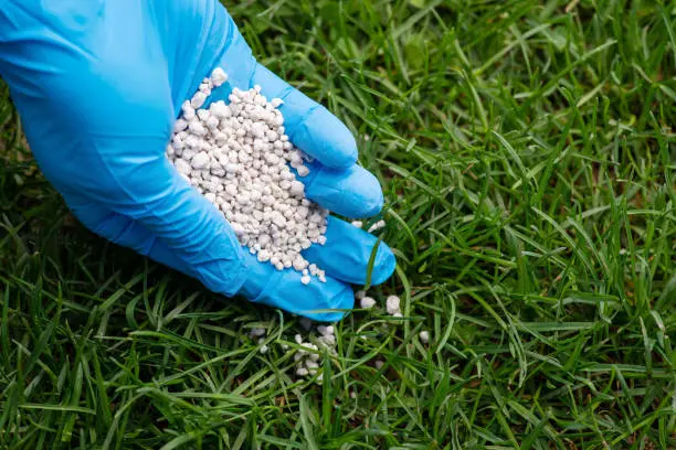 How often should you fertilize your lawn in Tyler, TX