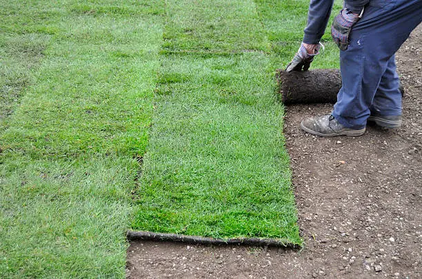 How to lay sod over existing lawn in Tyler, TX