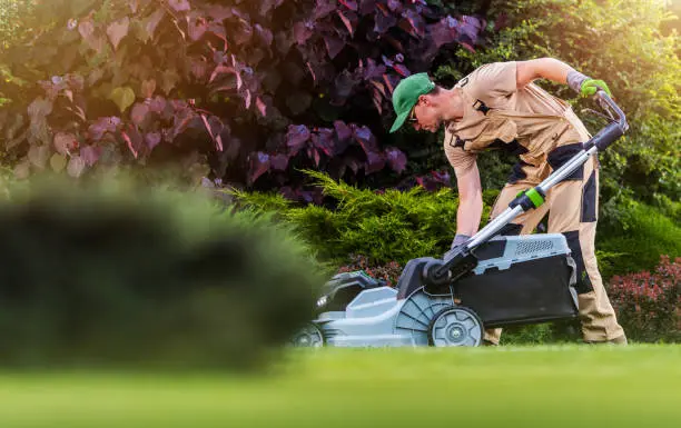 How to mow a lawn Tyler, TX