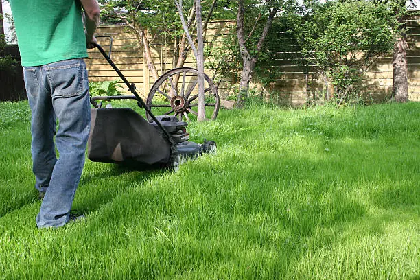 Reliable Lawn Mowing in Tyler, TX