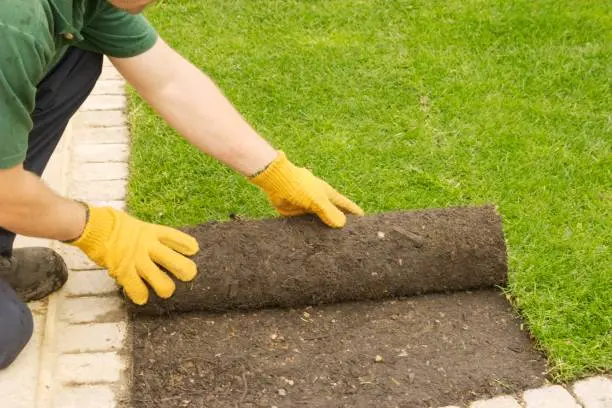 Sod Installation Tyler, TX