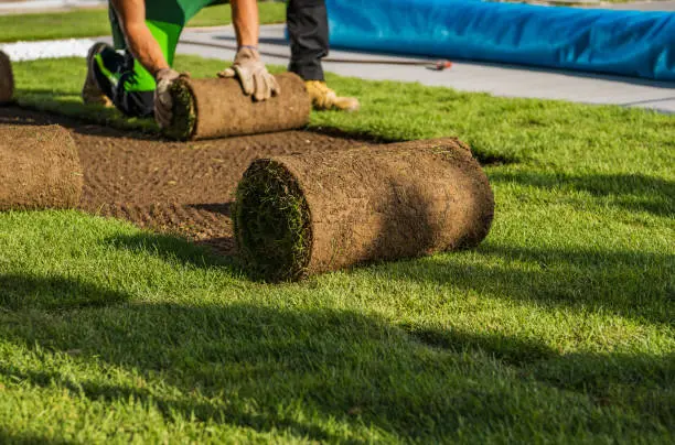 Sod Installation in Tyler, TX