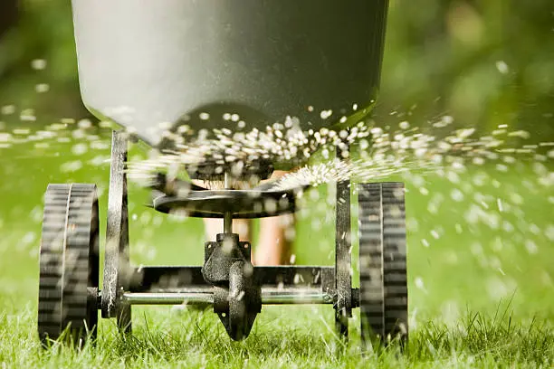 When is the best time to fertilize your lawn in Tyler, TX