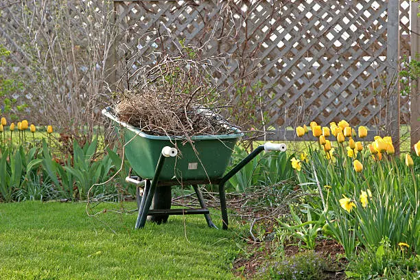 Yard cleanup in Tyler, TX